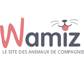 Wamiz